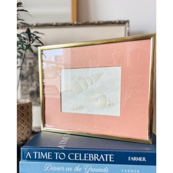 Framed Riviera Originals “Wentletrap” Embossed‎ Shell Print | Vintage Coastal - Picture 2 of 6